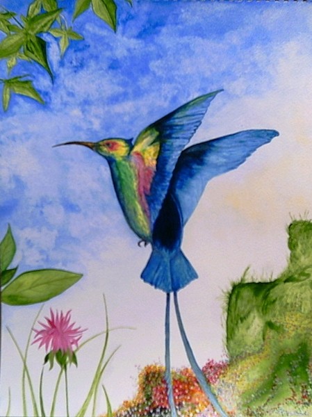 Humming Bird