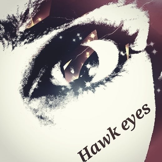 lindrawblackwightdrawingsartbirdsfalconartartdrawershawkhawkseyesbodybuildingawesomestronghakonekawa