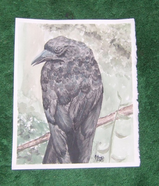 Raven