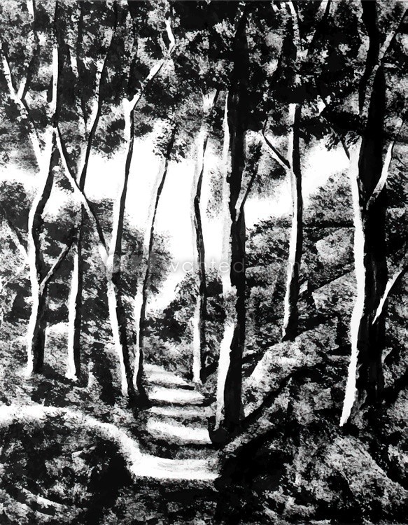 Sunny forest with a forest path