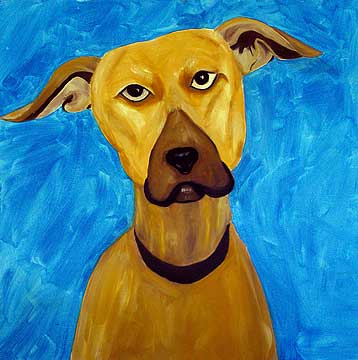 Gus 24x24 oil on canvas