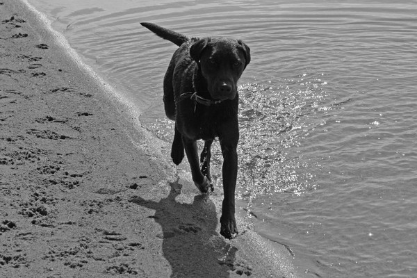 Walk on the Beach