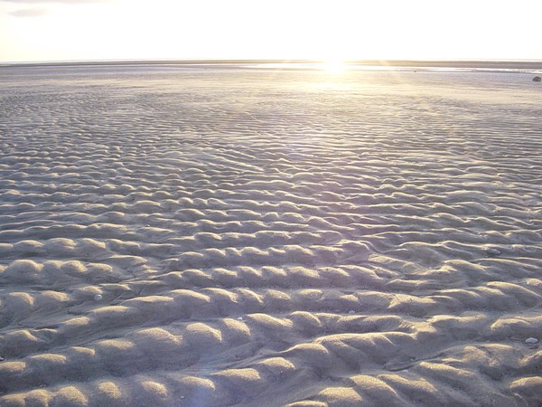 Dune