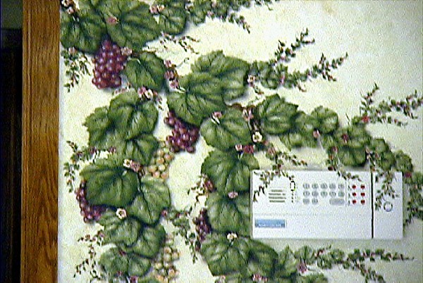 grape vine