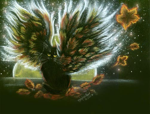 Halloween Fairy Cat