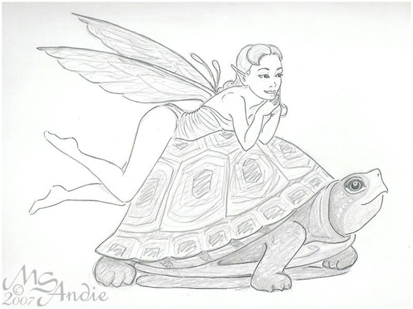 Turtle Rider