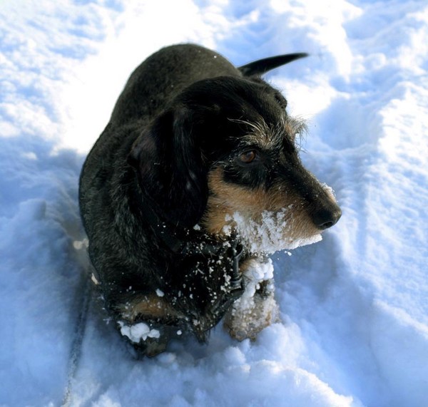 Our Mitusha