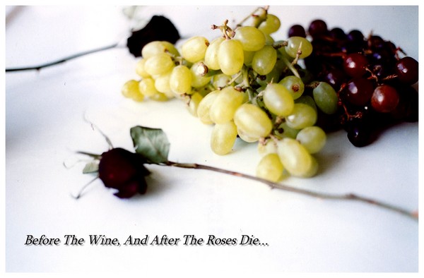 Before The Wine And After The Roses Die.