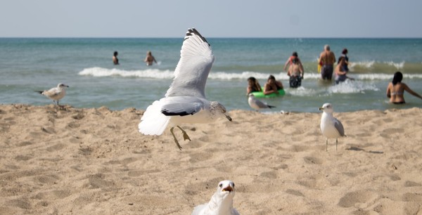 Coming In