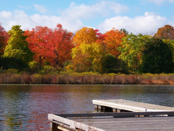 Autumn on the Charles