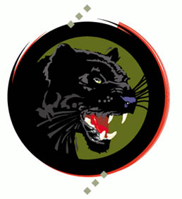 Big Cat_Icon Design