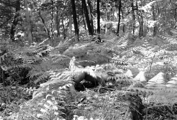 What you can find in the forrest