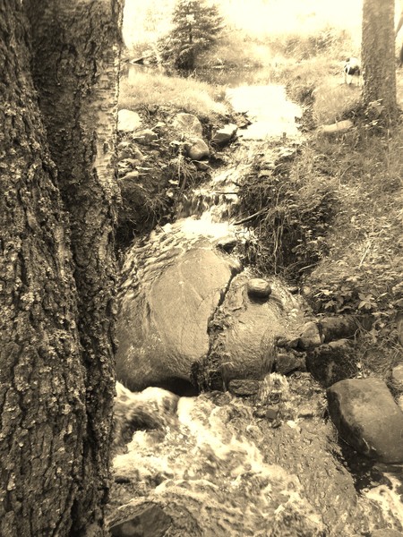 Old Brook