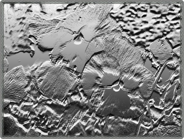 Fossilized