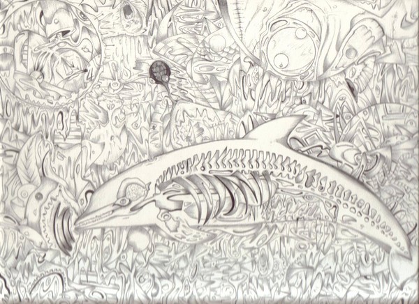 dolphinink#1