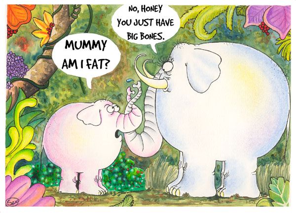 Elephants