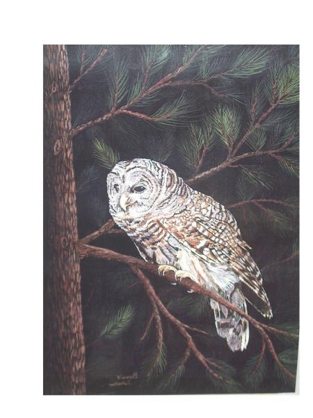 Hooter