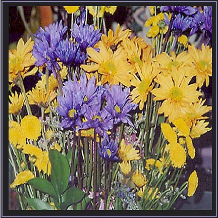 flowers