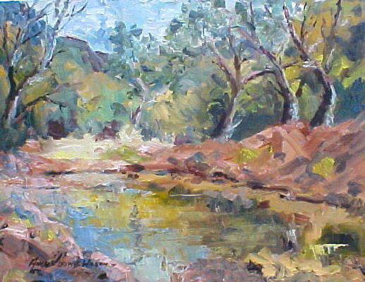 New Mexico Creek