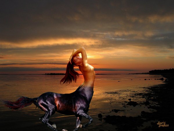 Racing The Sunset