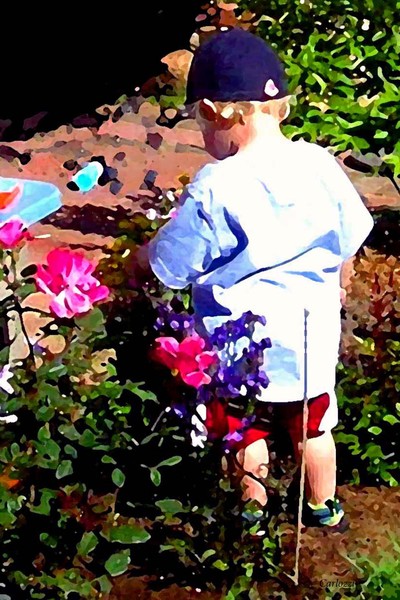 Evan's Garden