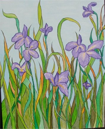 Iris