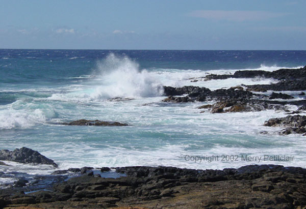 South Point Surf