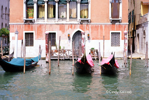 Venetian Taxis
