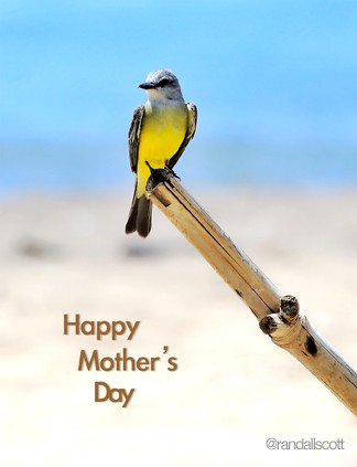 HAPPY MOTHER'S DAY WEEKEND