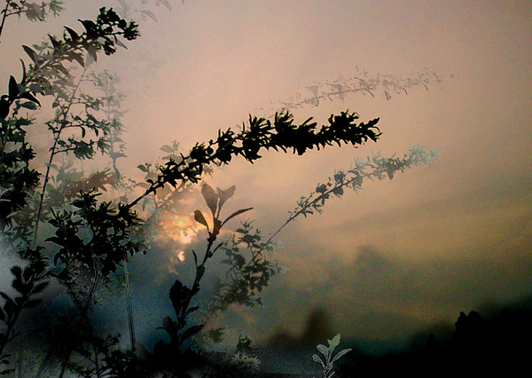 Post-rain Sunset