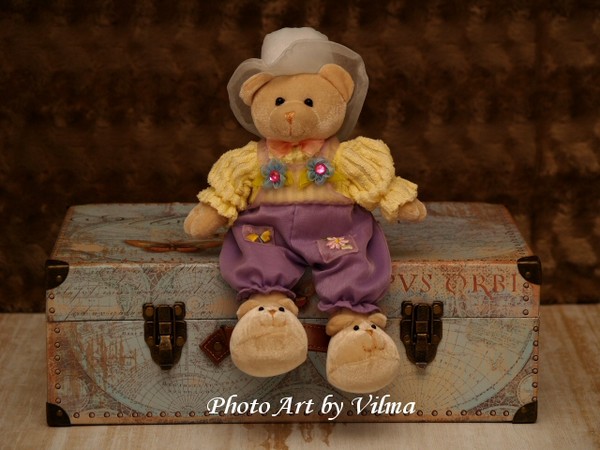 Traveling Miss Bear