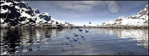 Butterfly Lake In Winter