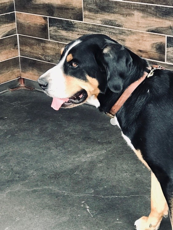 Roscoe