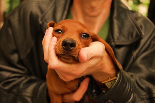 A puppy moment ......