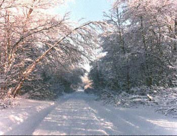 The Road