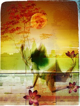 Pearl Fishers (Book cover)