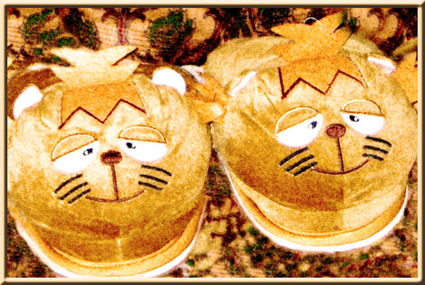 Kitty 