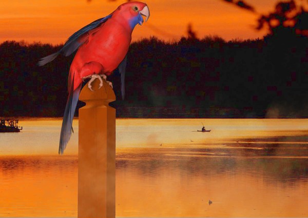 Sunset Camouflage 