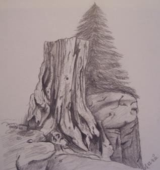 Stump