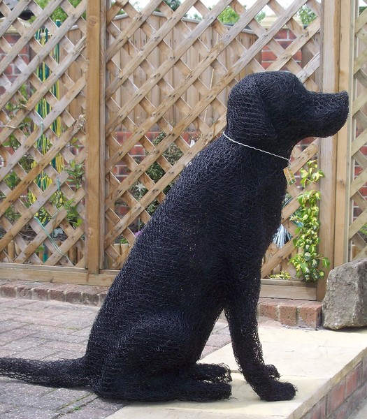 Sitting dog