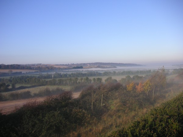 Morning Mist
