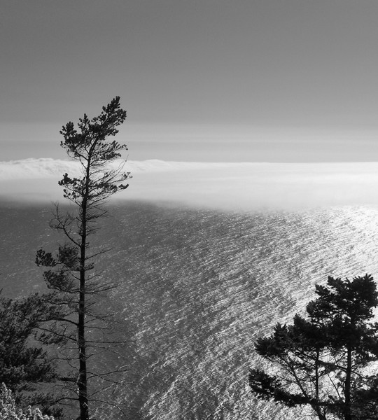Fog Bank Cropped