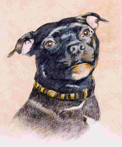 Blacky