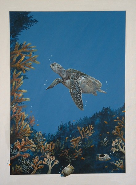 Turtle