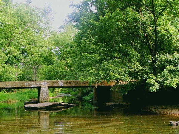 Serenity
