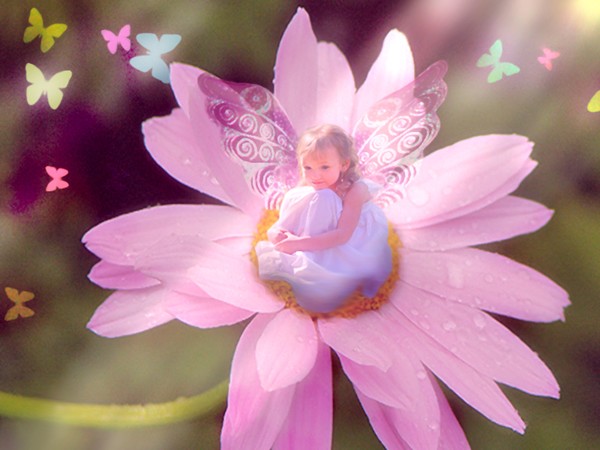 Sunlight Fairy
