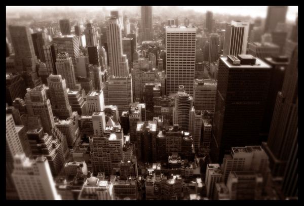 the city