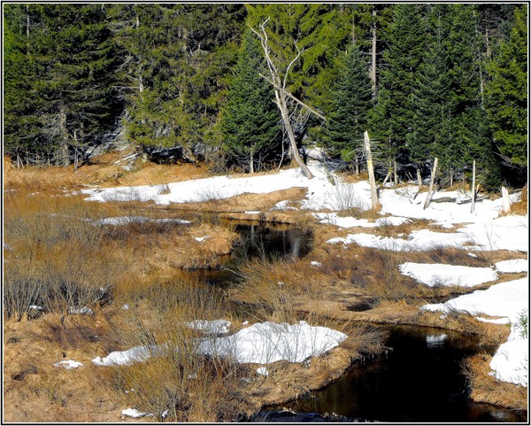 Between Winter and Spring