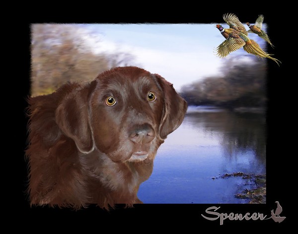Spencer