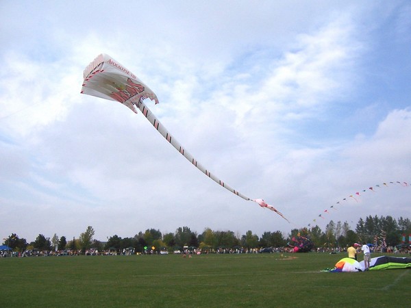 Kite